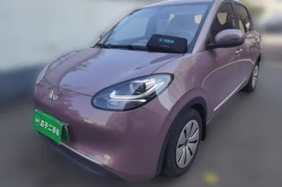 Wuling Bingo