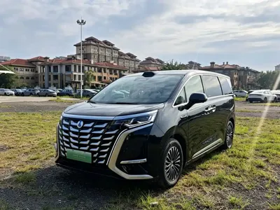 Denza Denza D9