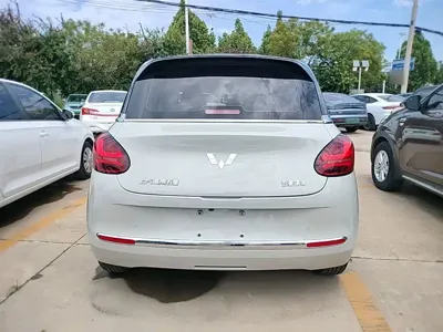 Wuling Bingo