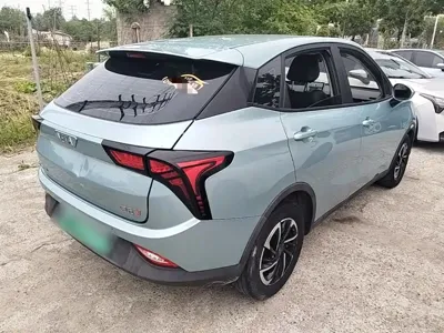 NETA Neta V
