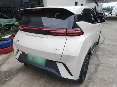 BYD Seagull
