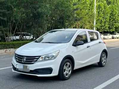 Baojun 310