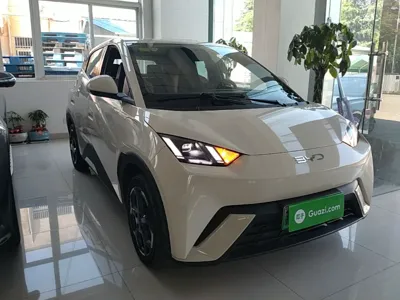 BYD Seagull