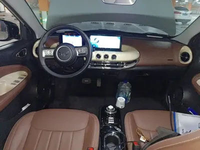 Wuling Bingo