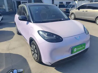 Wuling Bingo