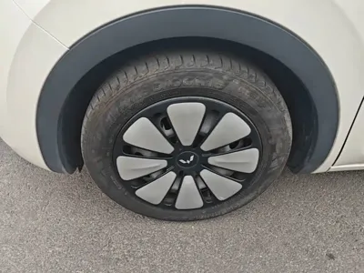 Wuling Bingo