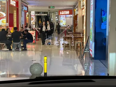 Li Auto Li MEGA