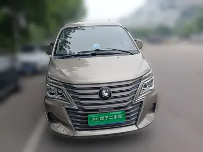 Fengxing Lingzhi