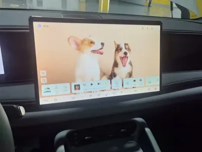 BYD 海狮06