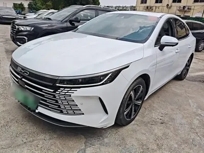 BYD Destroyer 05
