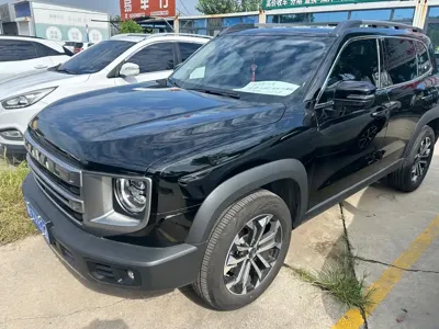 Haval Big Dog