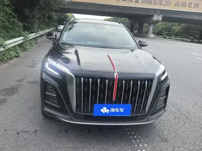 Hongqi Hongqi HS3