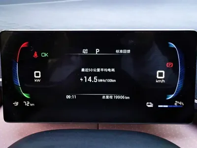 BYD Seagull