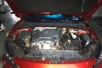 MG 6