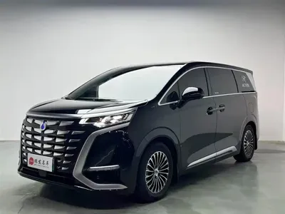 Denza Denza D9