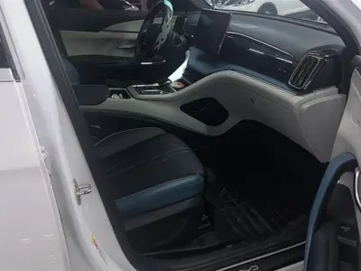 BYD Pro