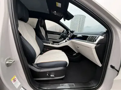 BYD PLUS New Energy