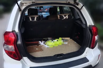 Changan CX20