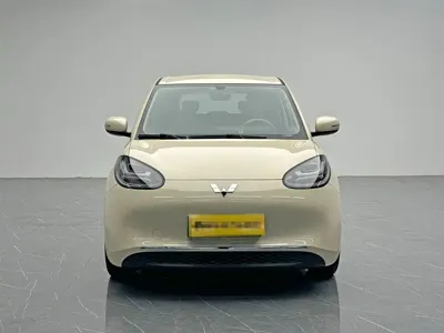 Wuling Bingo