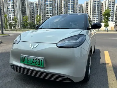 Wuling Bingo