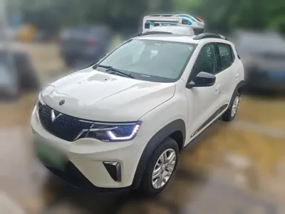 Venucia e30