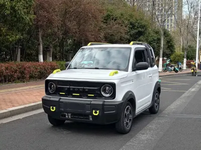 Galaxy Panda