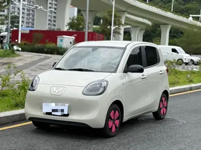 Wuling MINIEV
