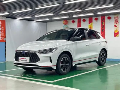 BYD e2