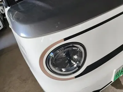 Galaxy Panda