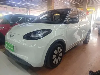 Wuling Bingo