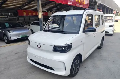 Wuling Zhiguang New Energy