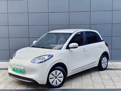 Wuling Bingo