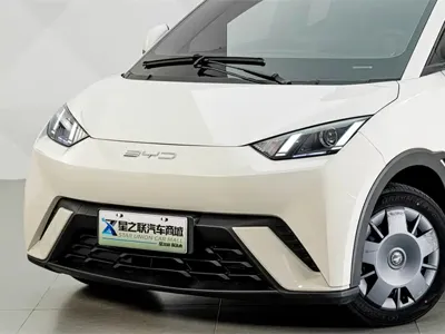 BYD Seagull
