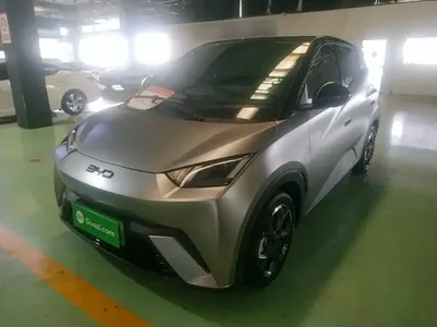 BYD Seagull