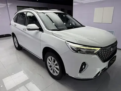 Haval M6