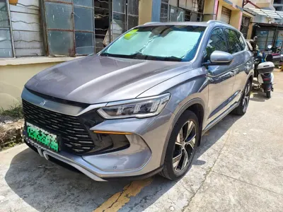 BYD Pro New Energy