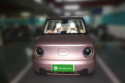 Geely Galaxy Panda