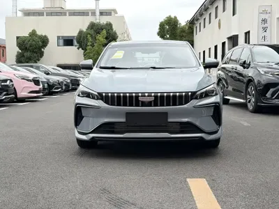 Geely Binrui