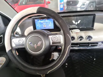 Wuling Bingo