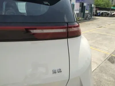 BYD Seagull