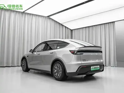 Tesla Model Y L