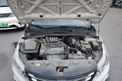 Baojun 310