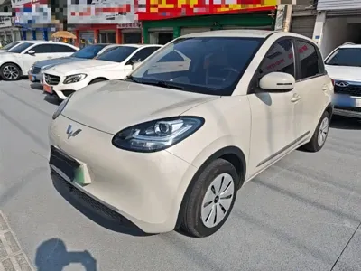Wuling Bingo