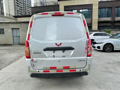 Wuling Wuling EV50