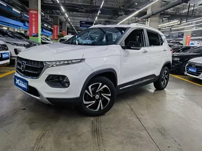 Baojun 510