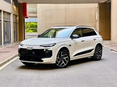 Audi 奥迪Q6L e-tron