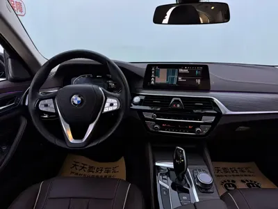 BMW 5 Series New Energy