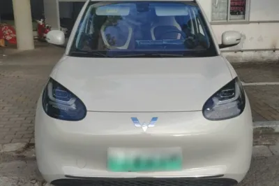 Wuling Bingo