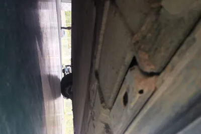 Denza D9