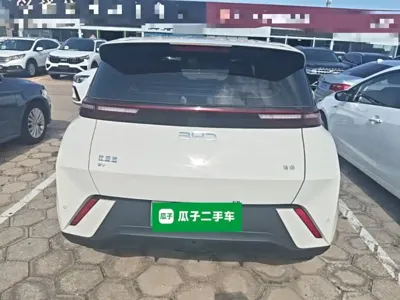 BYD Seagull
